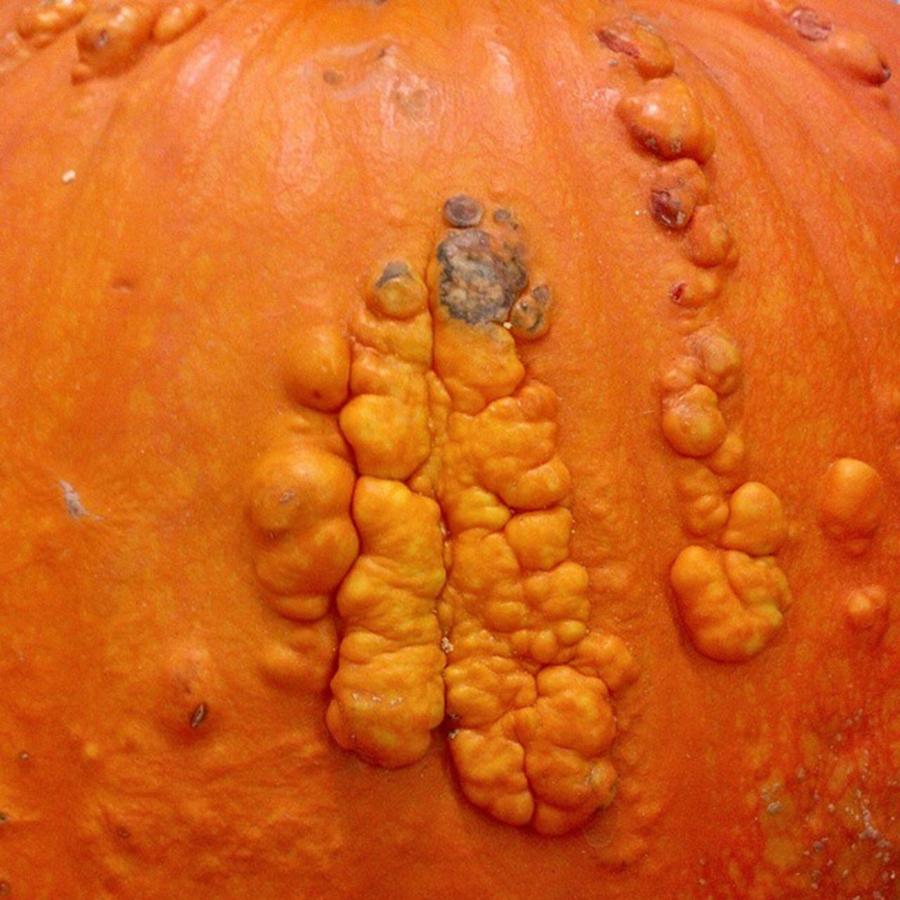 Nature Photograph - #orange #pumpkin #calabaza #bumpy by The Texturologist