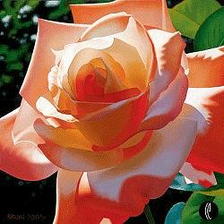 Rose Painting - Orange Radiance by Brian Davis Rose Painting - Orange Radiance by Brian Davis