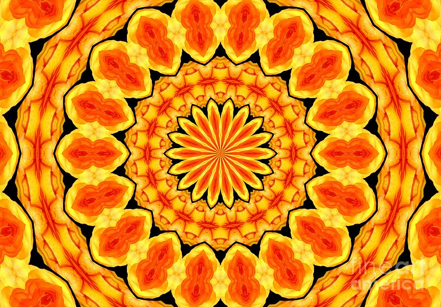 Orange Ranunculus Flower Kaleidoscope 1 Photograph by Rose Santuci-Sofranko