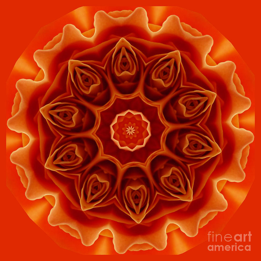 Orange Rose Mandala Digital Art by Julia Underwood