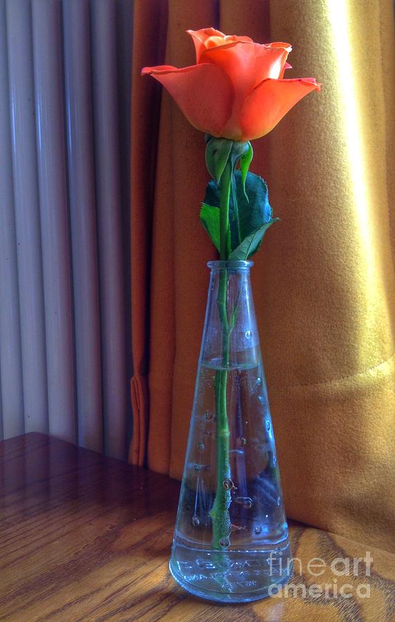 Orange Rose on Table Photograph by Joan-Violet Stretch