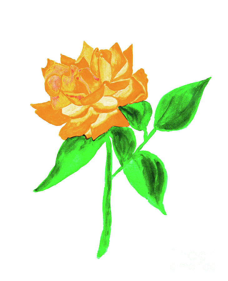 Orange rose, painting Painting by Irina Afonskaya
