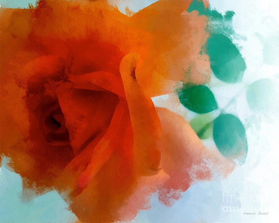 Orange Rose Photograph by Patricia Strand