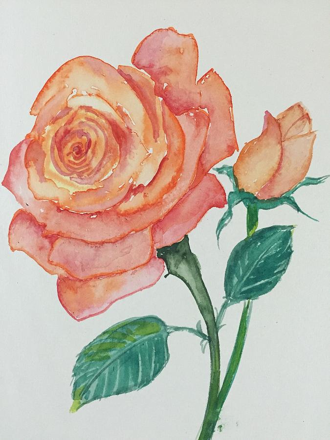 Rose Drawing - Orange Rose by Pushpa Sharma