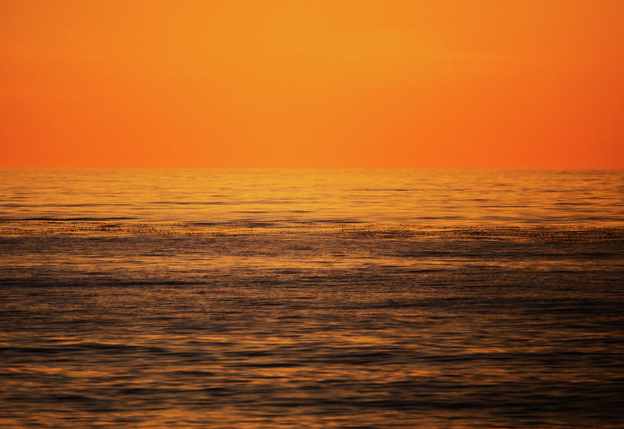 Orange Sea Photograph by JoAnn Silva