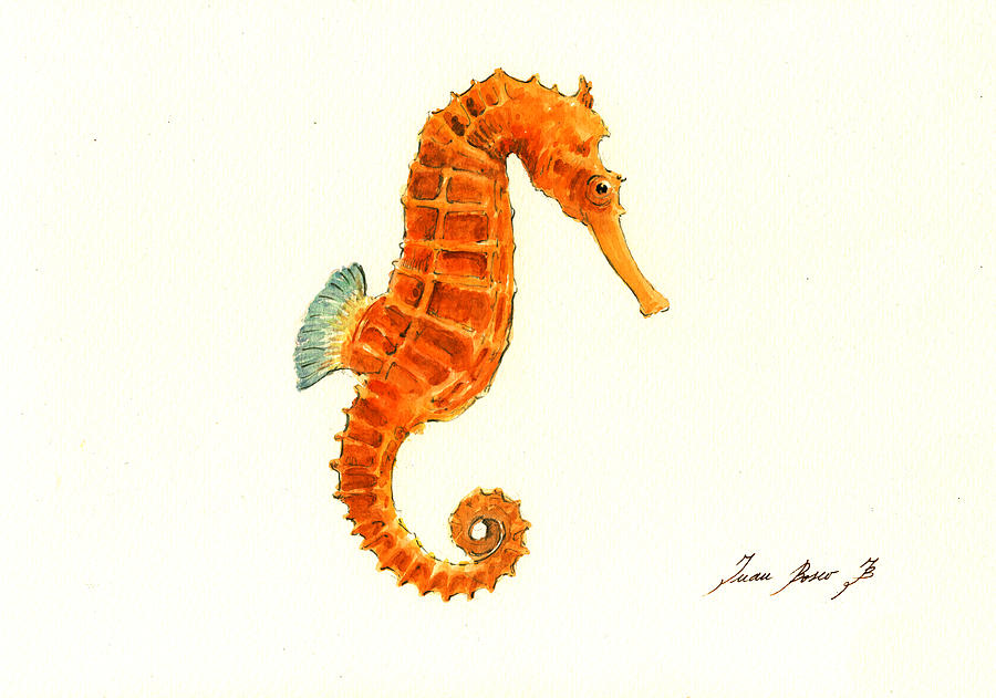 Seahorse Painting - Orange seahorse by Juan Bosco