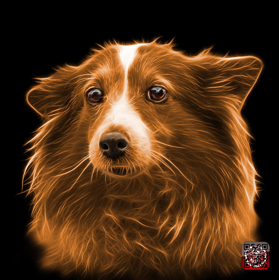 Orange Shetland Sheepdog Dog Art 9973 - BB Mixed Media by James Ahn