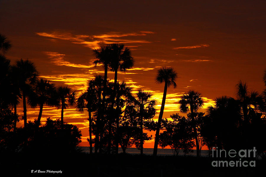 Orange Skies Photograph by Barbara Bowen