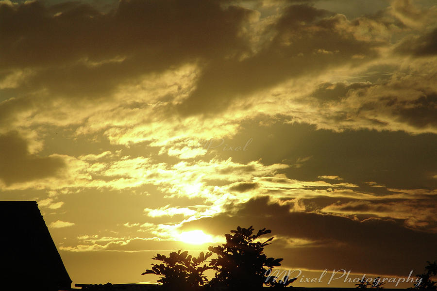 Sunset Photograph - Orange Skies by Roxanne Schurton