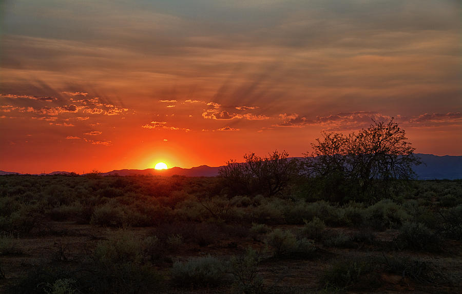 Orange Sky Sunset  Photograph by Saija Lehtonen
