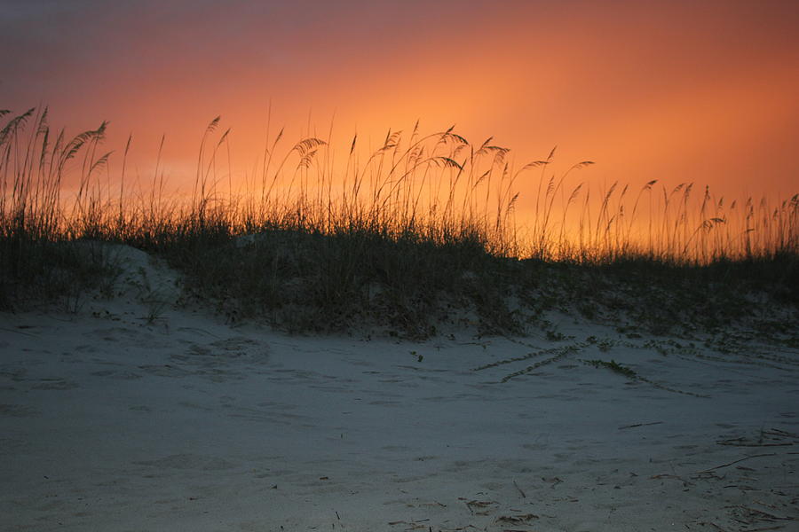 Sunset Photograph - Orange Sky by Valerie Tull