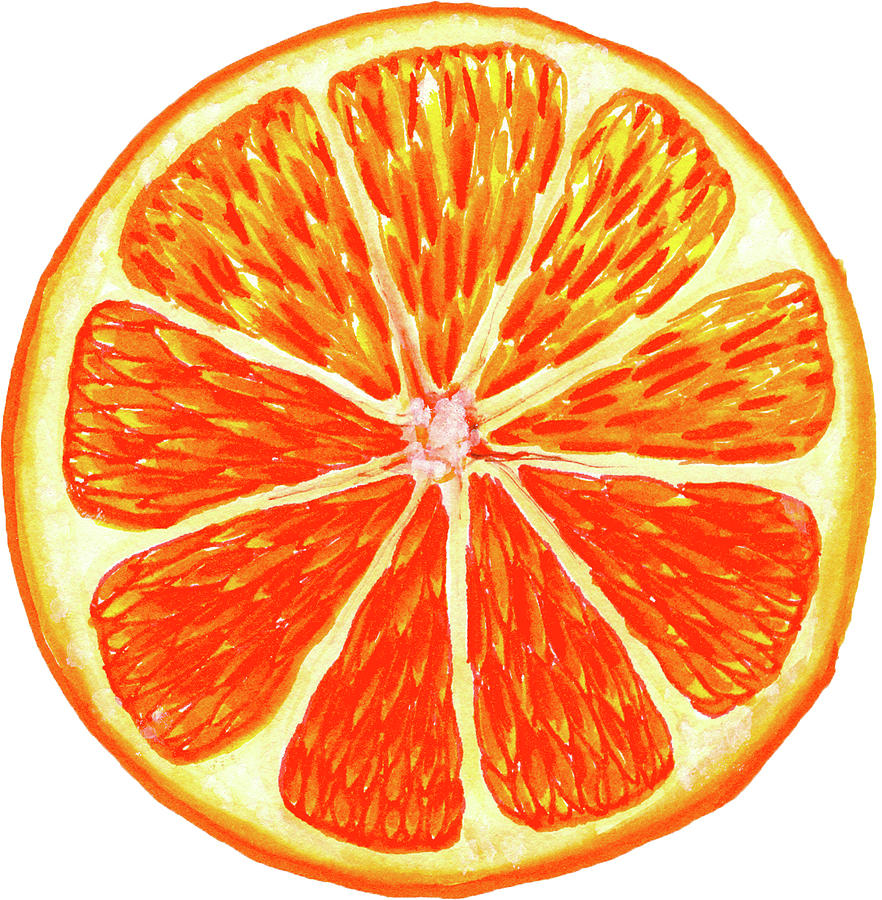 Orange Slice Painting by Erin Sparler