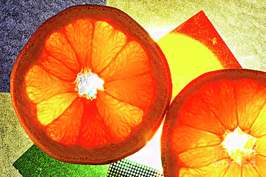 Orange Slices. Photograph by Alexander Vinogradov