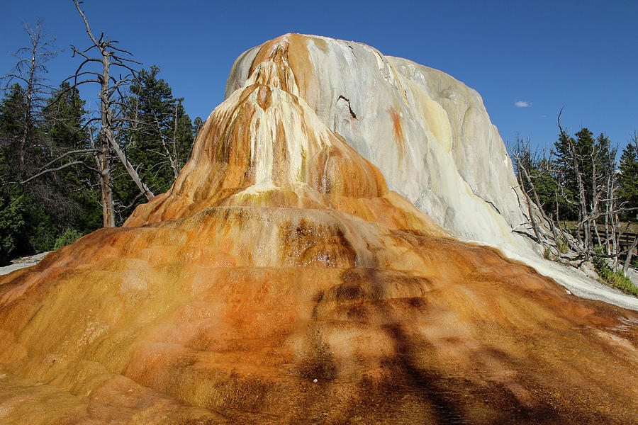 Orange Spring Mound Photograph by Lorraine Baum - Pixels