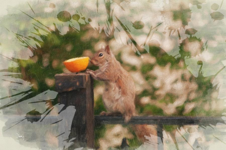 Orange Squirrel Splash Photograph by Diane Lindon Coy