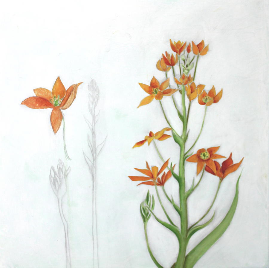 Orange Star Painting by Genevieve Smith