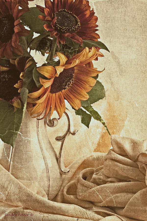 Orange Sunflowers - Found In The Attic Photograph by Sandra Foster
