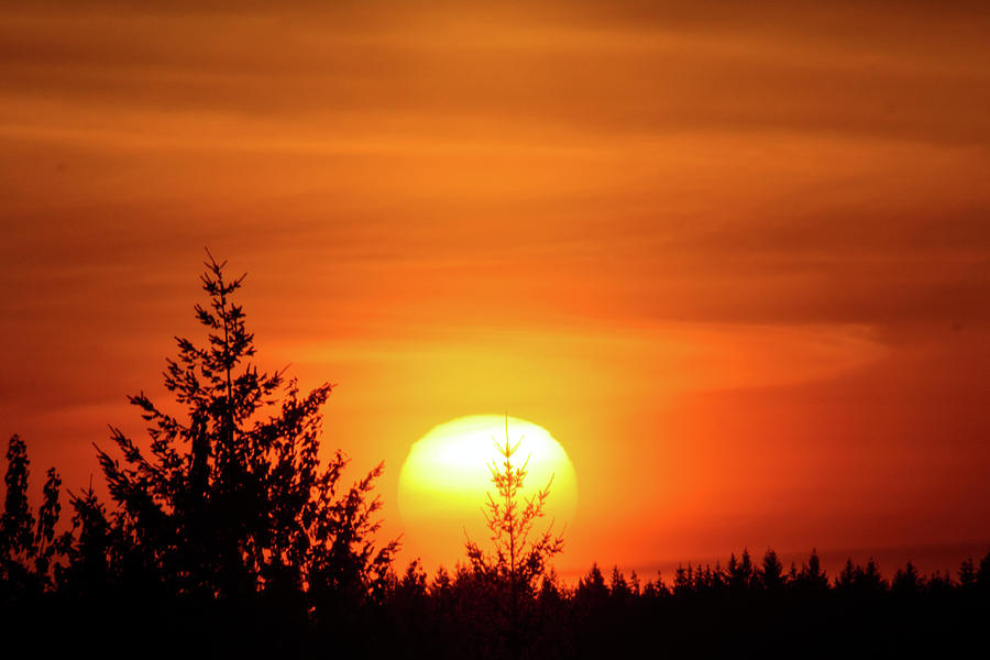 Orange Sunset at Chehalis Photograph by Tikvahs Hope