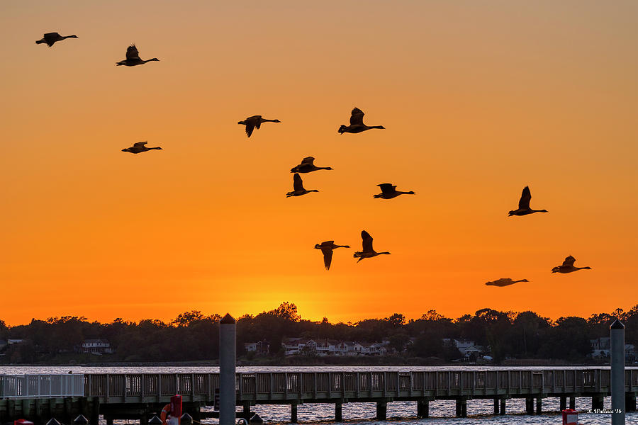 Orange Sunset - Bill Burton Pier Photograph by Brian Wallace