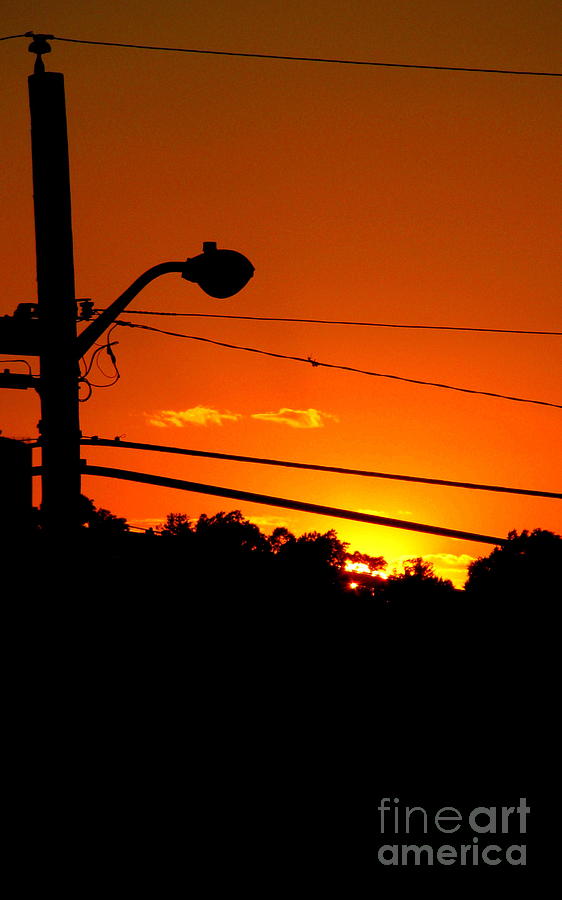 Orange Sunset Photograph by Colleen Kammerer