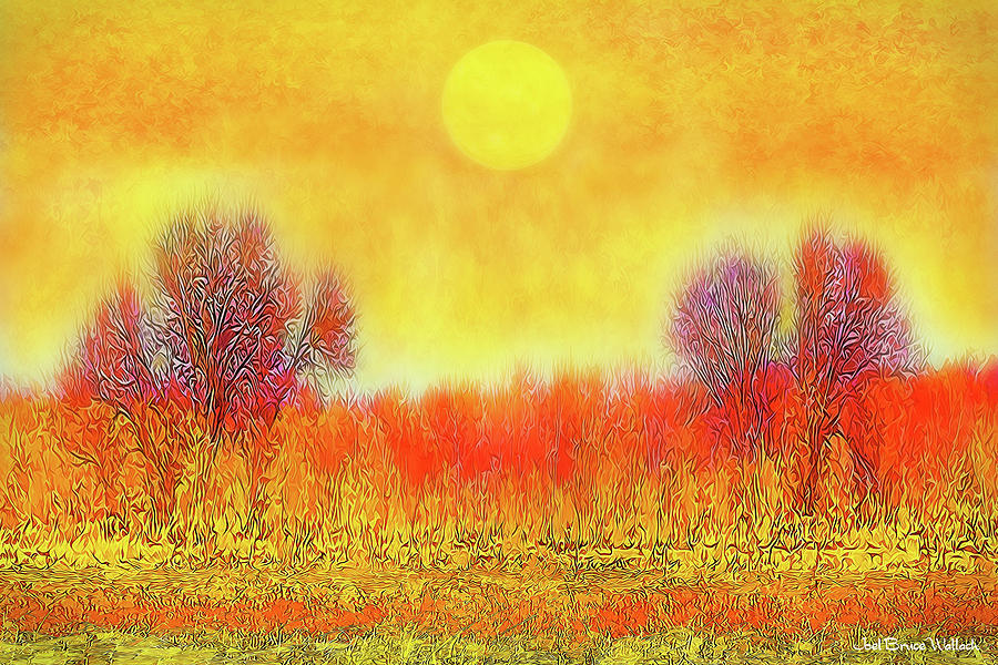 Sunset Digital Art - Orange Sunset Shimmer - Field In Boulder County Colorado by Joel Bruce Wallach