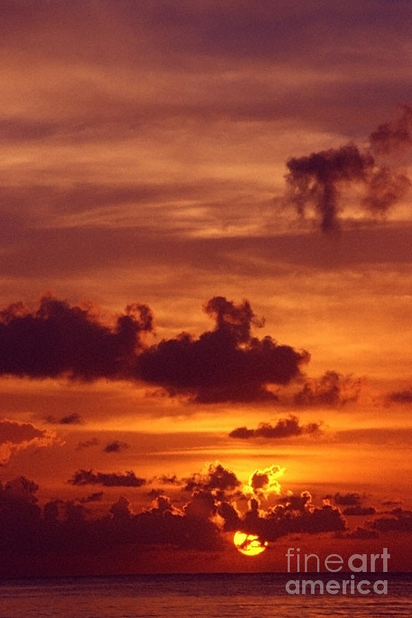 Orange Sunset Photograph by Sven Brogren