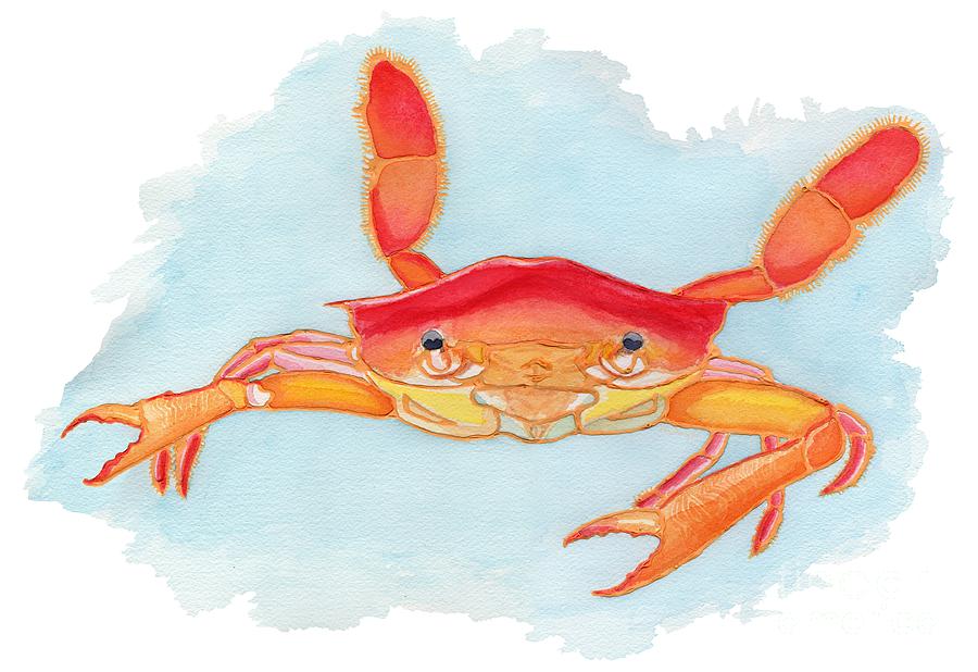 Wildlife Painting - Orange Swimmer Crab by Kate LeVering