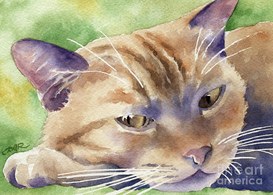 Cat Painting - Orange Tabby Cat by David Rogers