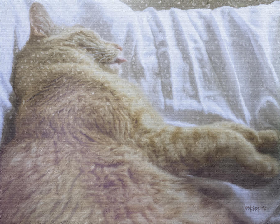 Orange Tabby Cat Napping Catching Snowflakes Photograph by Rebecca Korpita