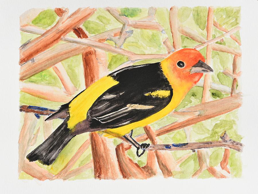 Orange Tanager Painting by Linda Brody