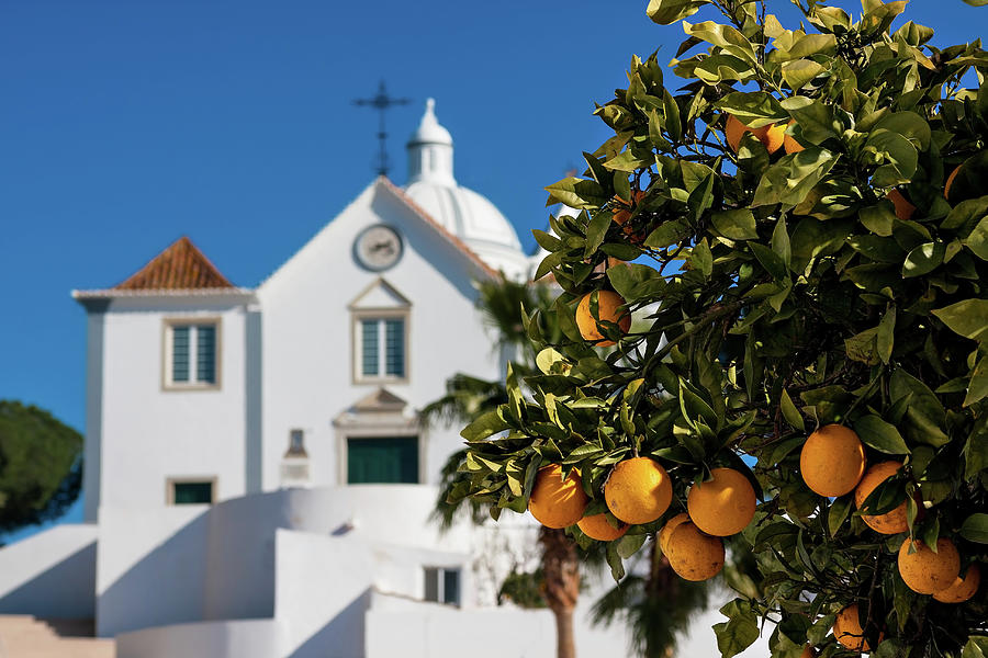 Architecture Photograph - Orange Tree and church - Castro Marim, Portugal by Barry O Carroll