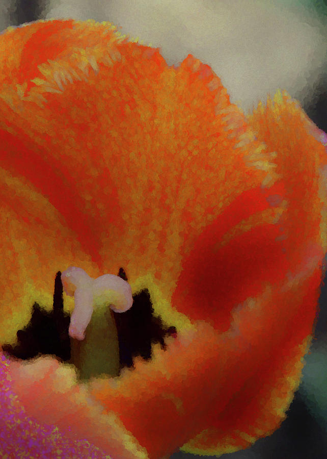 Tulip Photograph - Orange Tulip #2 by Marianne Hamer