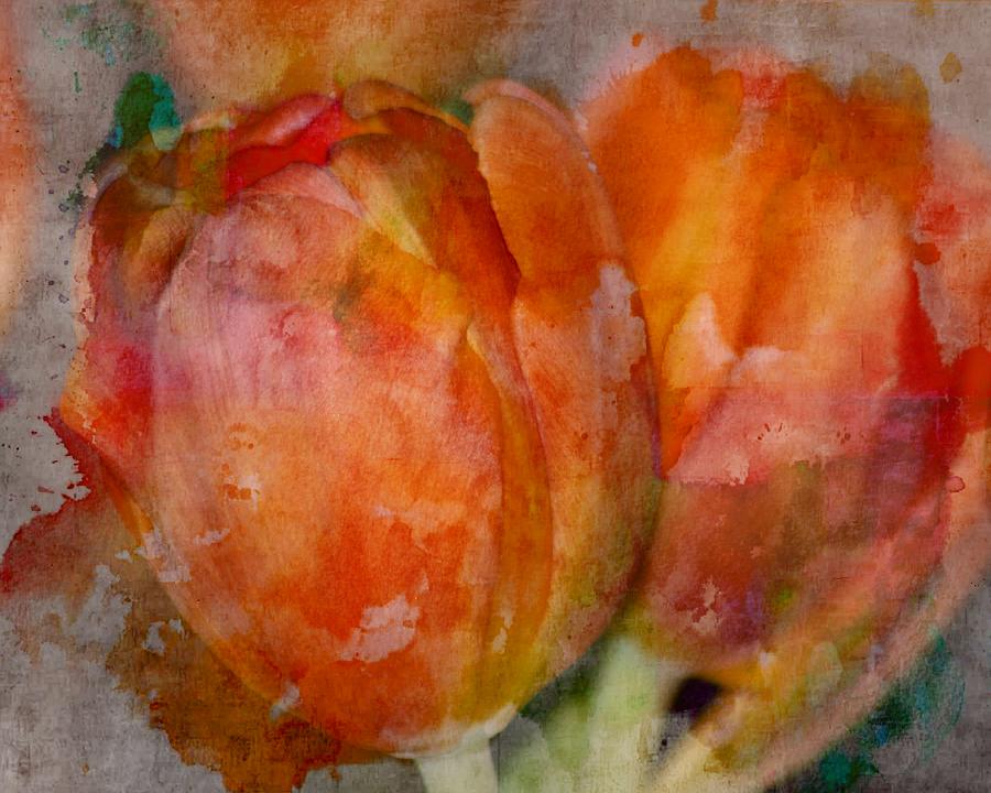 Orange Tulip Watercolor Photograph by Sheri McLeroy