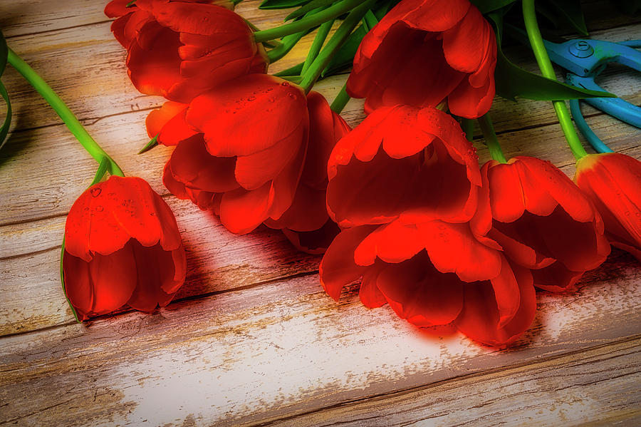 Tulip Photograph - Orange Tulips On Wood Planks by Garry Gay