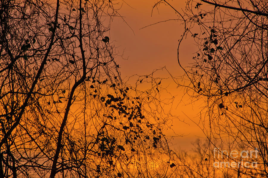 Orange by Wanda Krack Orange by Wanda Krack