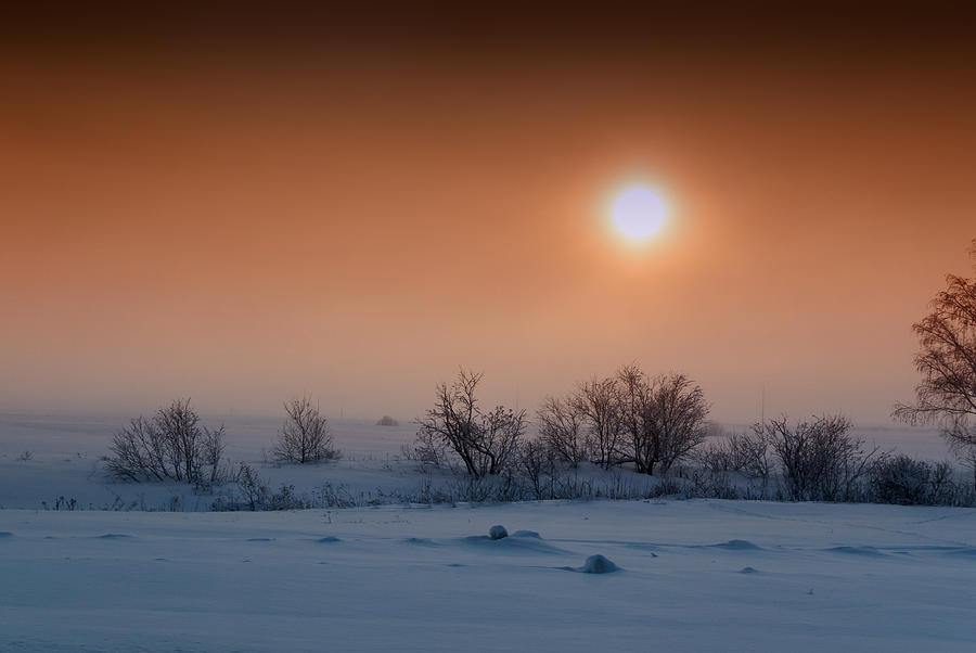 Warm Winter Sun Snow Duel Photograph by John Williams