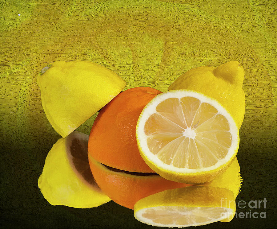 Oranges and Lemons Photograph by Shirley Mangini