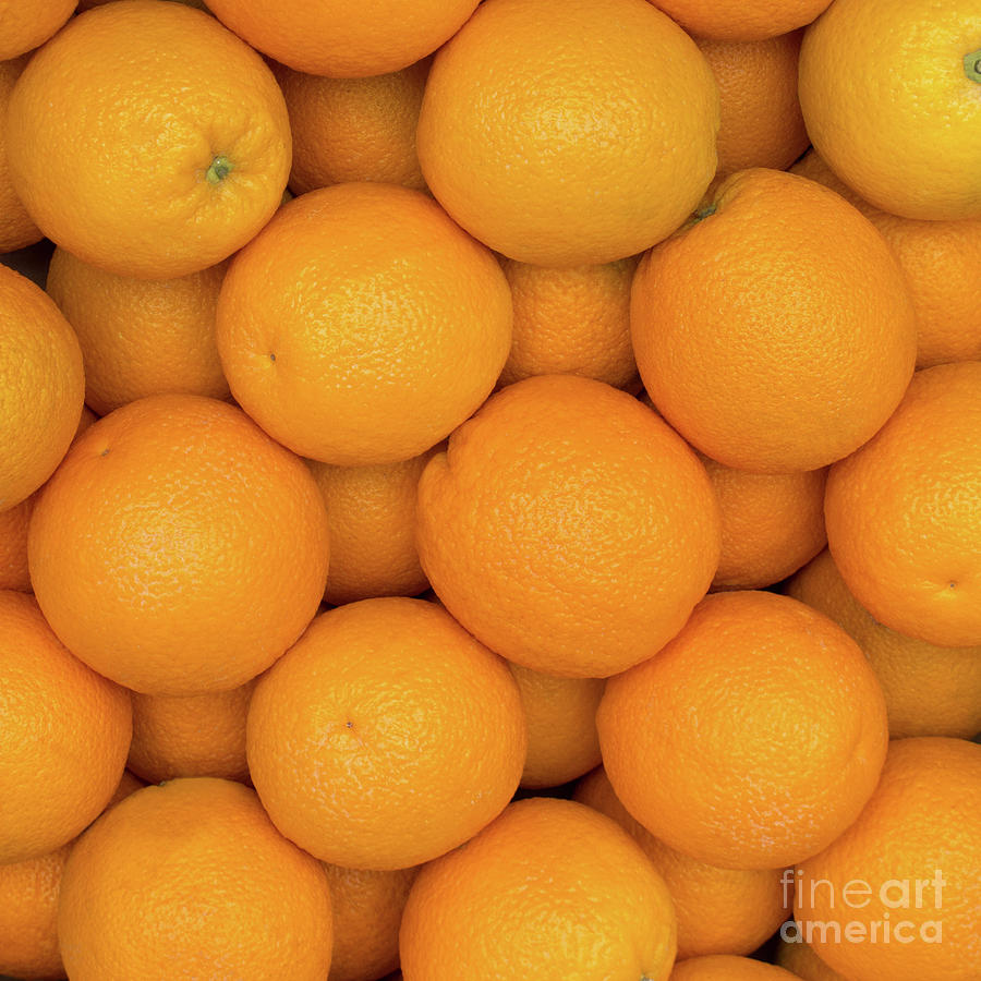 Oranges Photograph by Ann Horn
