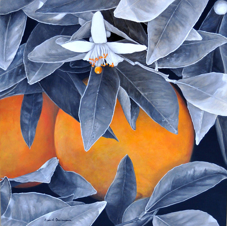 Oranges en Noir et Blanc Painting by Muriel Dolemieux