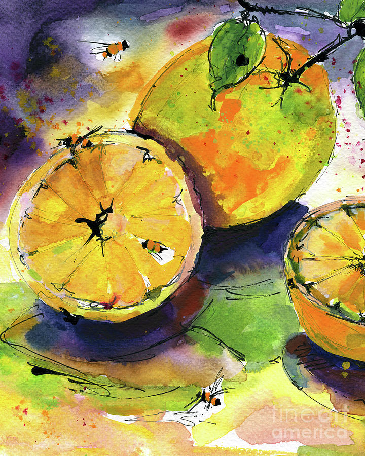 Oranges Fruit Watercolor Painting Painting by Ginette Callaway