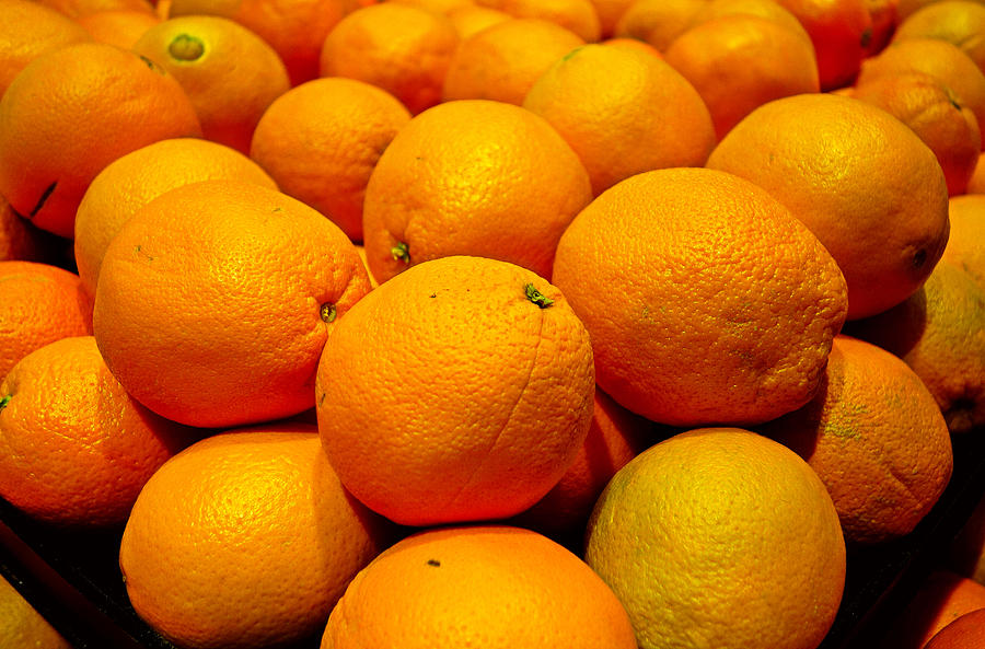 Oranges Photograph by Robert Meyers-Lussier
