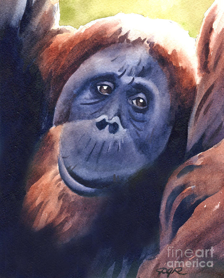 Wildlife Painting - Orangutan by David Rogers
