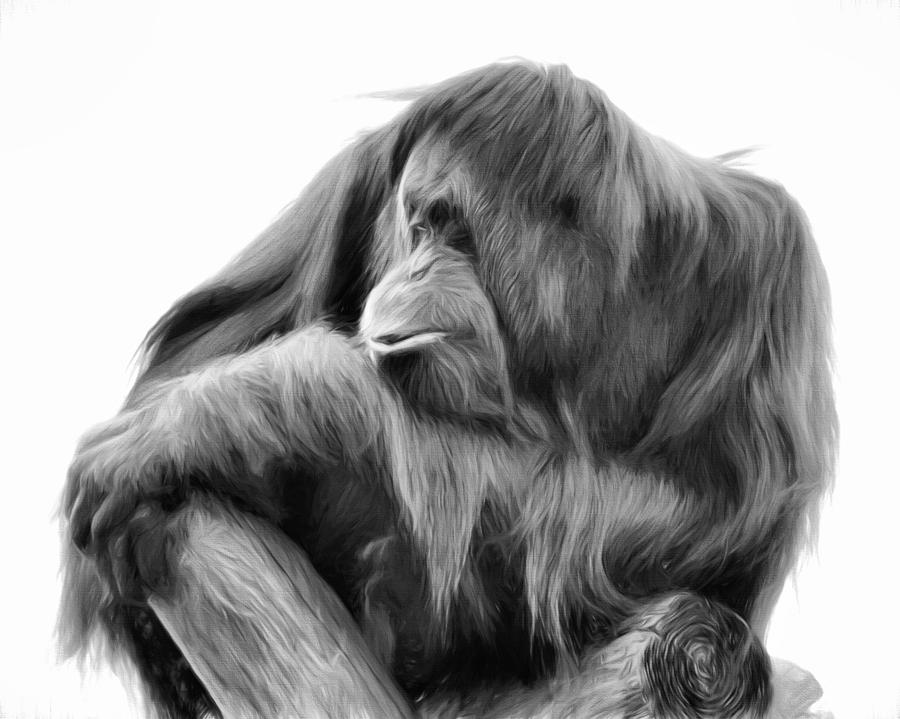 Orangutan Photograph by Lana Trussell