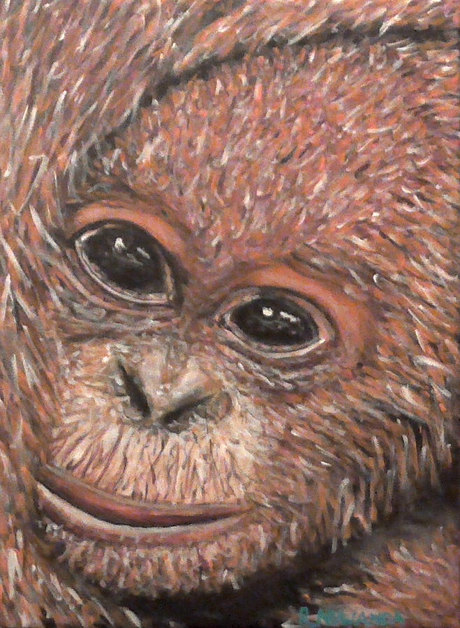 Animal Painting - Orangutan by Robbie Potter