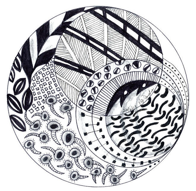 Black And White Drawing - Orb by Bev Donohoe