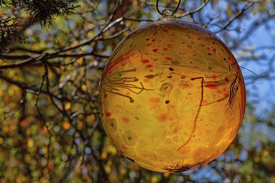 Orb of Autumn Photograph by Alana Thrower