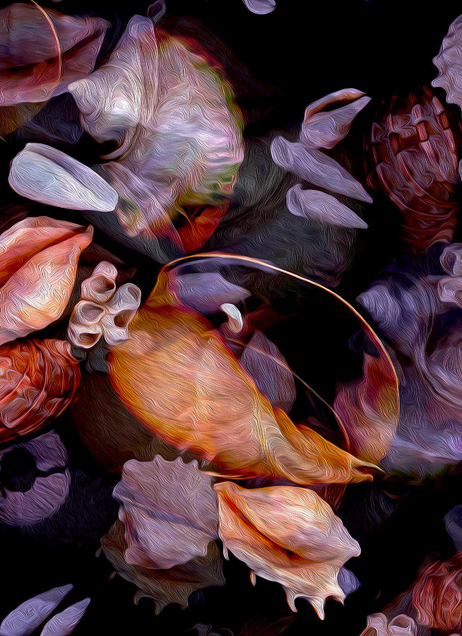 Shell Photograph - Orbiting Seashells by Lynda Lehmann