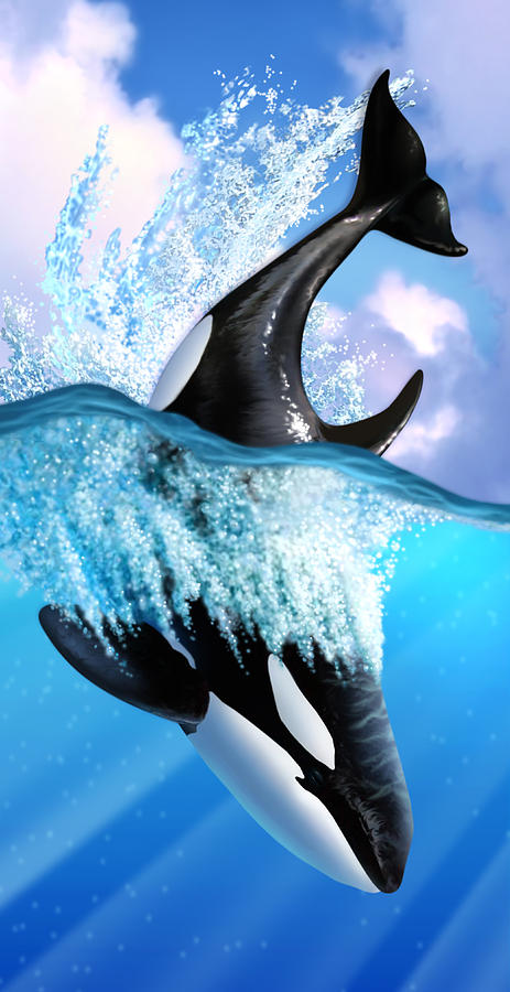 Orca 2 Digital Art by Jerry LoFaro
