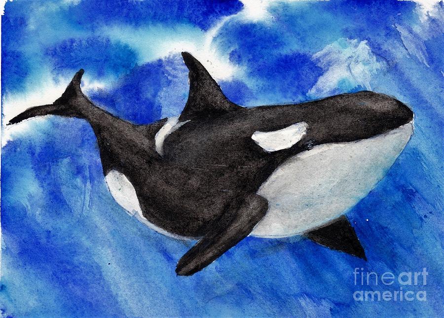 Orca Baby Painting by Randy Sprout