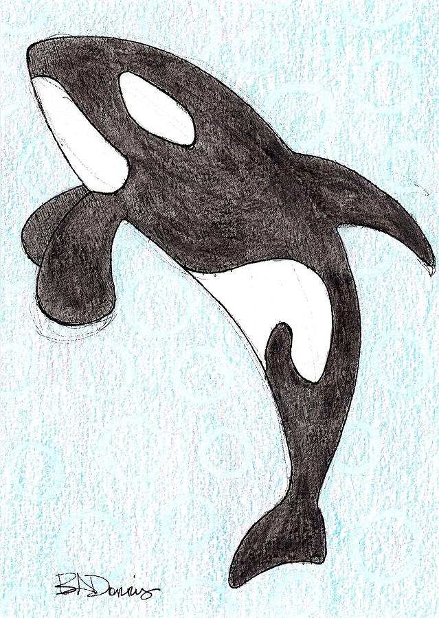 Orca by Brittany Dorris Orca by Brittany Dorris